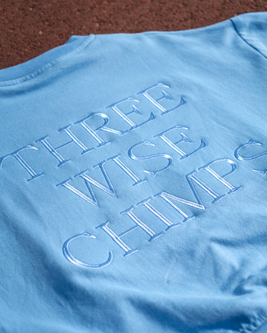 Ladies Blue Oversized Crew Neck Top