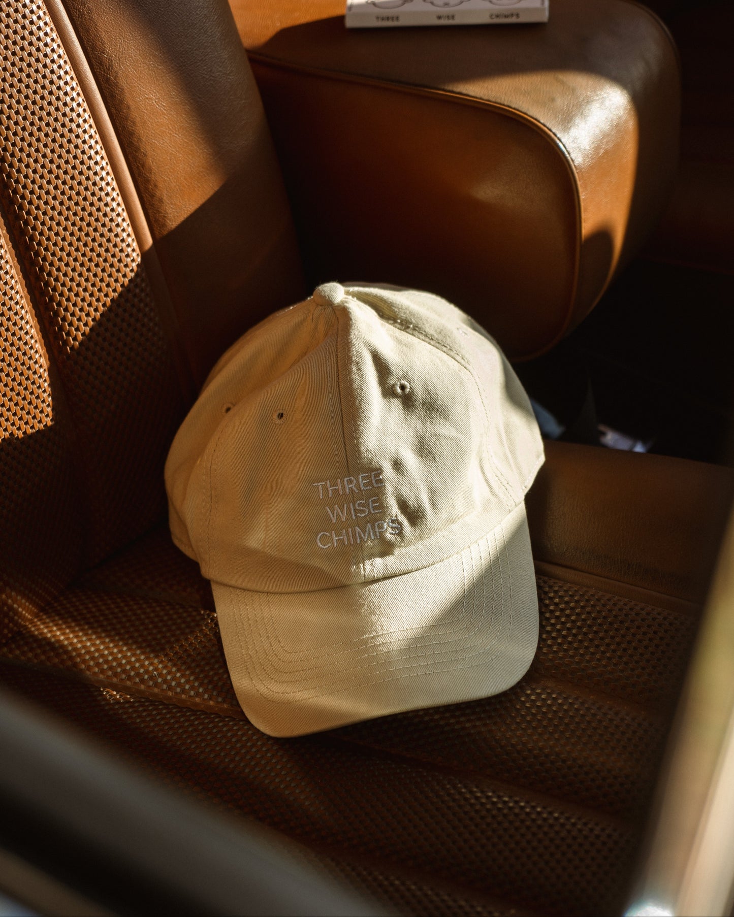 STONE DAD CAP