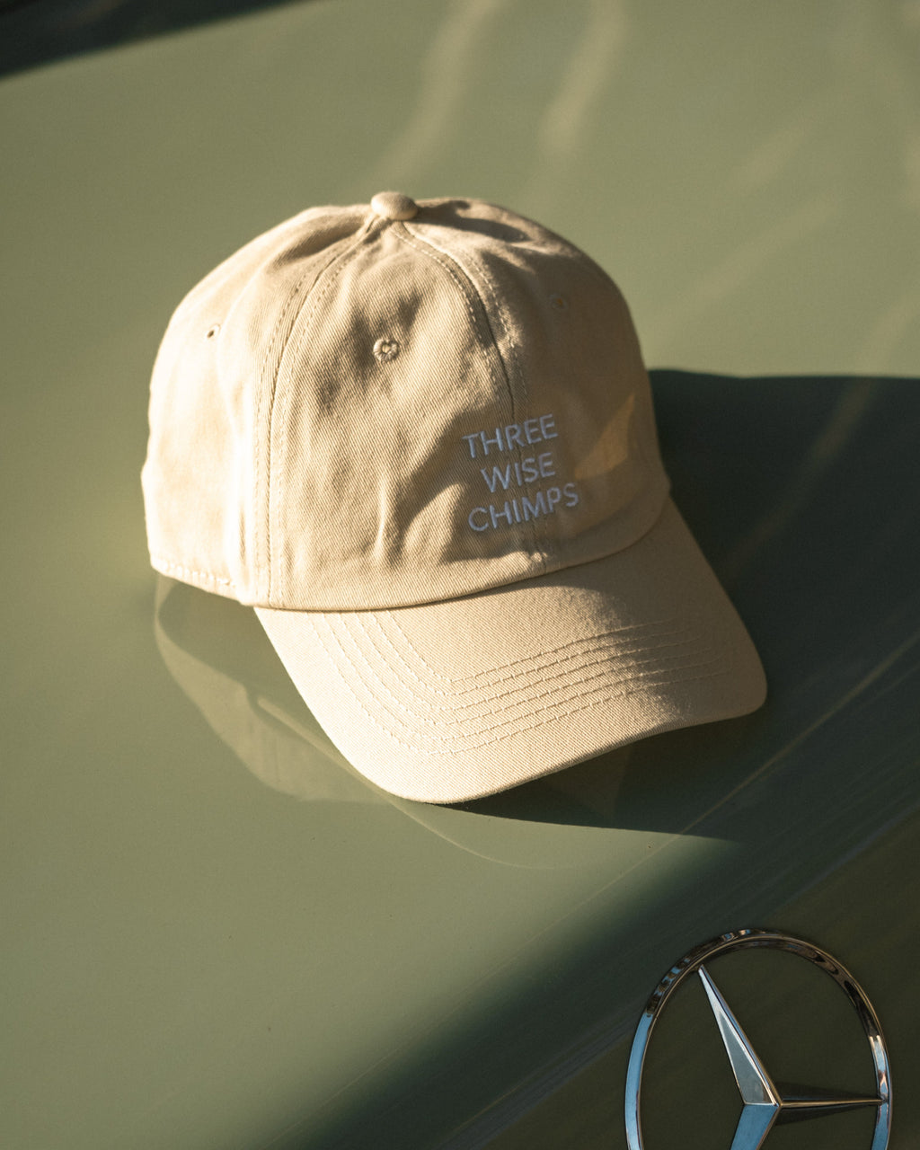 STONE DAD CAP
