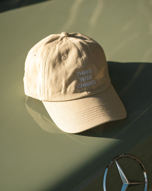 STONE DAD CAP